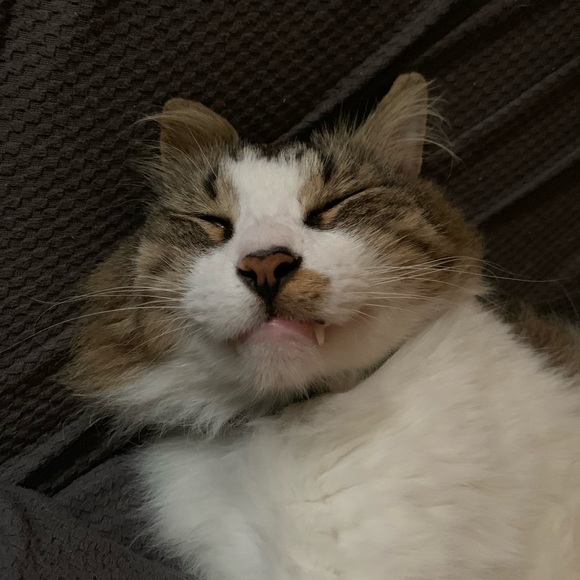 Meet your Posher, Erin - Picture 2 of 3